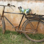 tanazia-trip-19