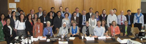 World Health Organization technical advisory group